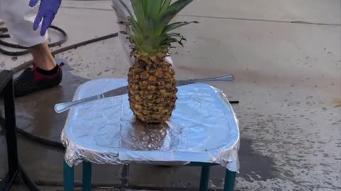 a PINEAPPLE can do THAT! 🤯😱 (For Entertainment Purposes Only)