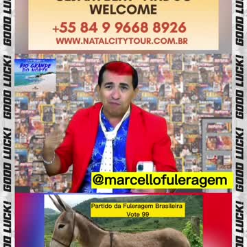 O SIMBOLO DO PARTIDO DA FULERAGEM BRASILEIRA - PFB 99