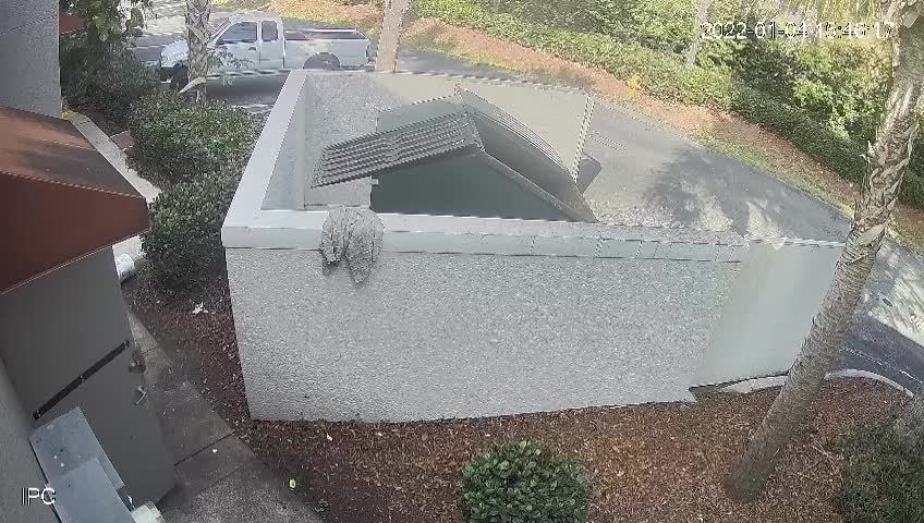 Man Faceplants While Taking Out the Trash