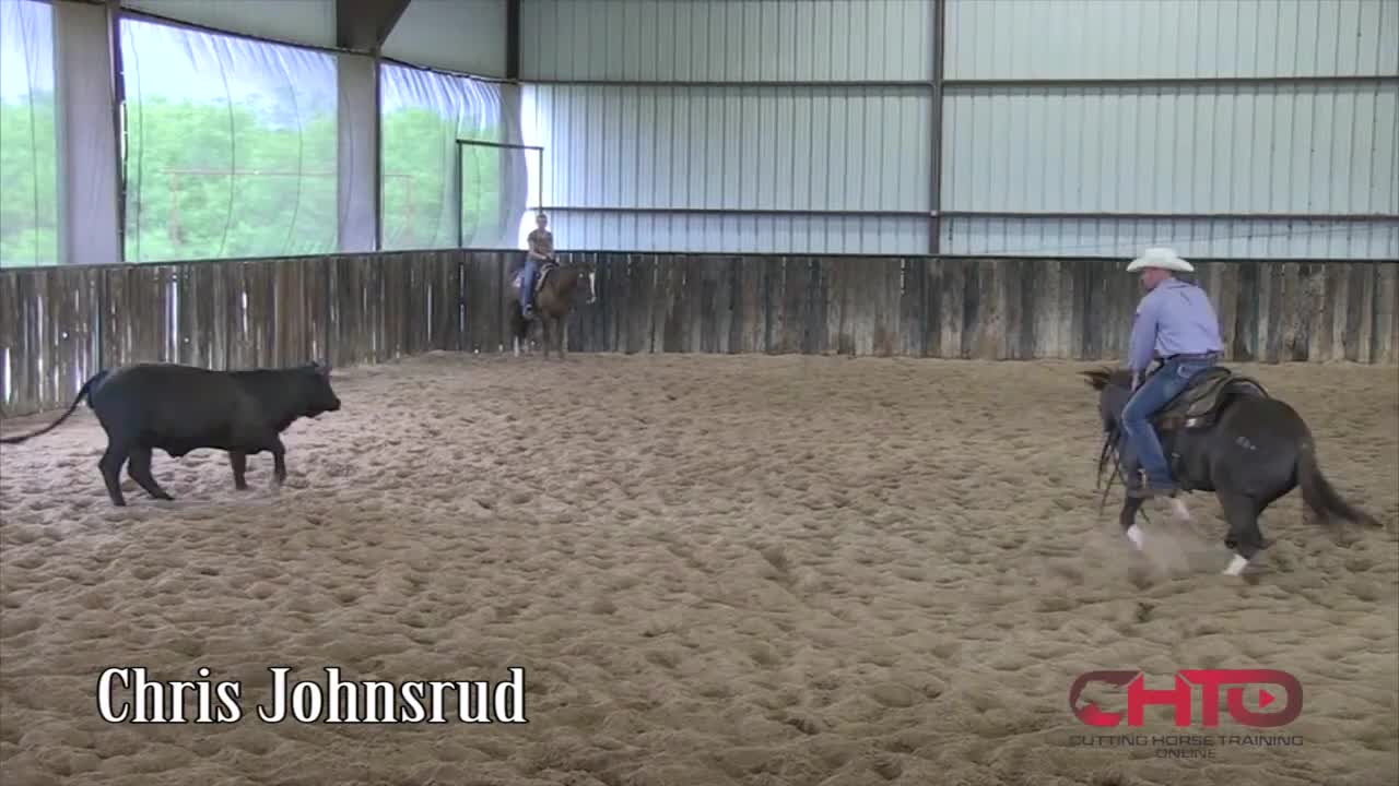 How To Teach A Cutting Horse