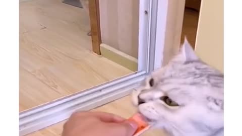 Why give him a snack and not me?