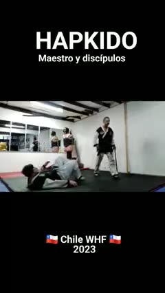 Hapkido