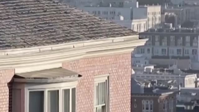 Nancy Pelosi'shusband assaulted at their home
