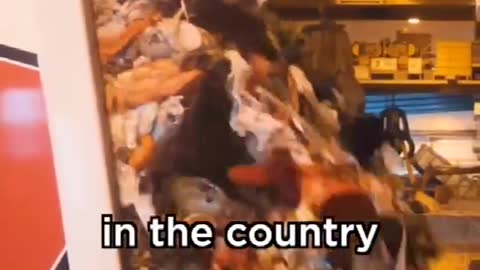 Singapore’s Trash Journey