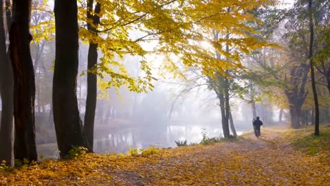 Enchanting Autumn Forests with Beautiful Piano Music