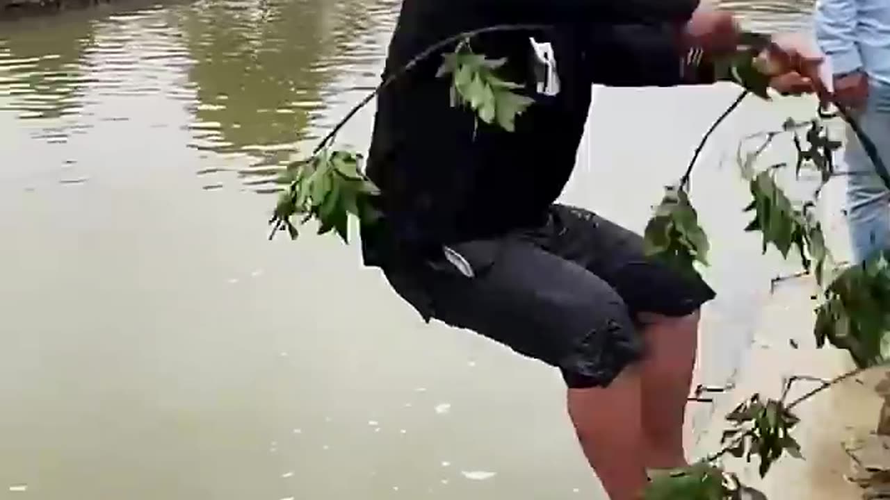 Funny video☺☺☺☺