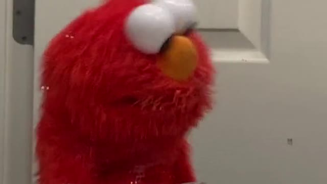 Wise word from elmo