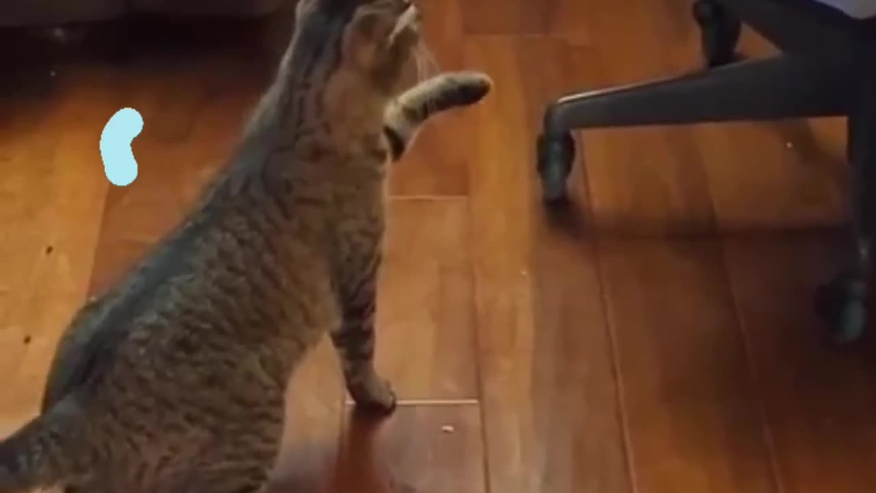 Cat playing with a hanger