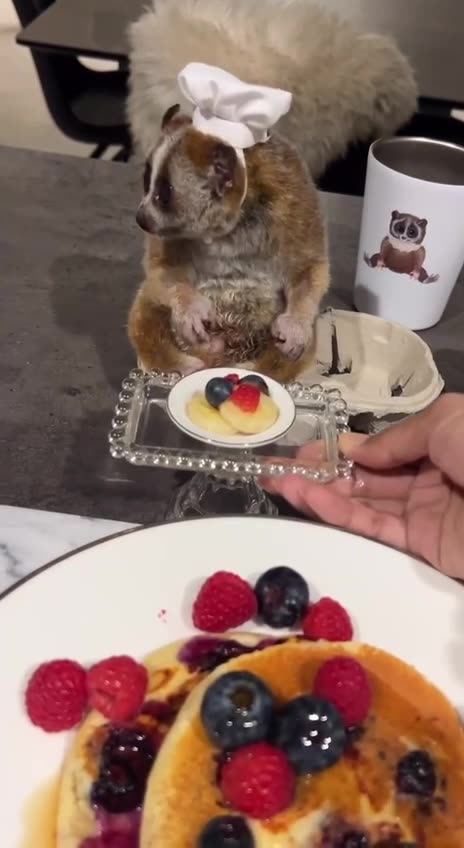 Having company is good for the digestion 😊