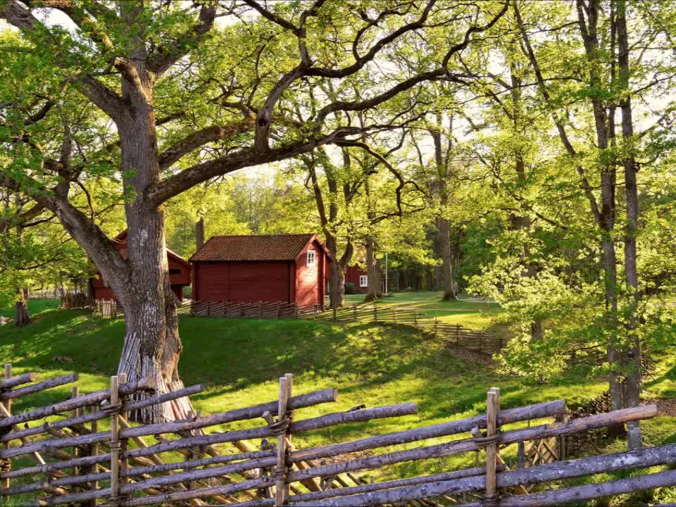 Red House