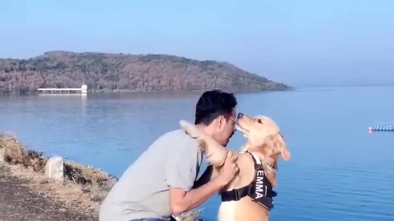 How my dog asks to pick her up☺️