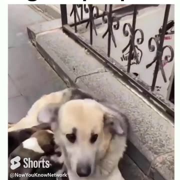 Good People Still Exist |