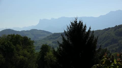 France Tree And Alpine Ridge Near Glenoble