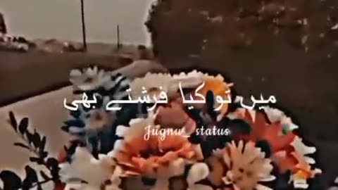 Status shots video