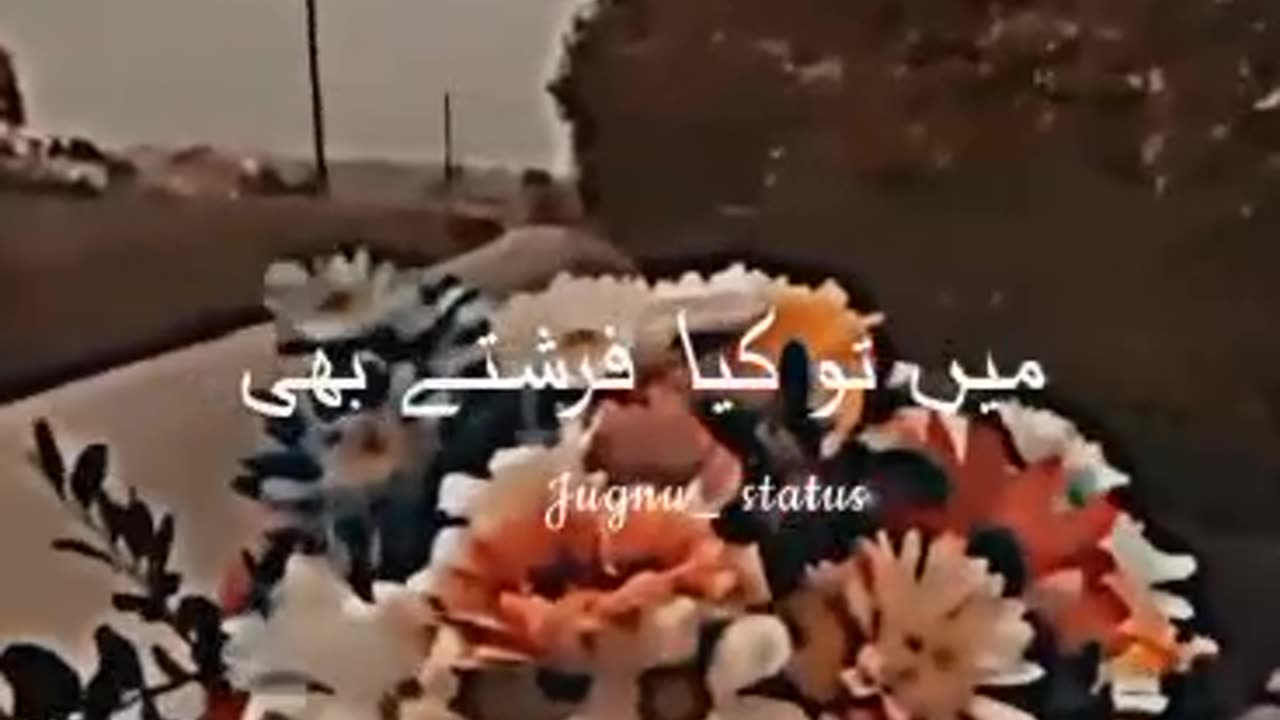 Status shots video