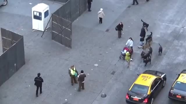 Police dog is attacked by pack of stray dogs…….Kawai sooooooo!