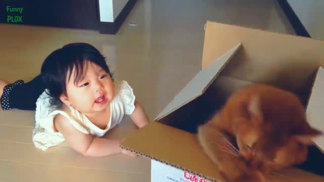 Cute babies vs cats