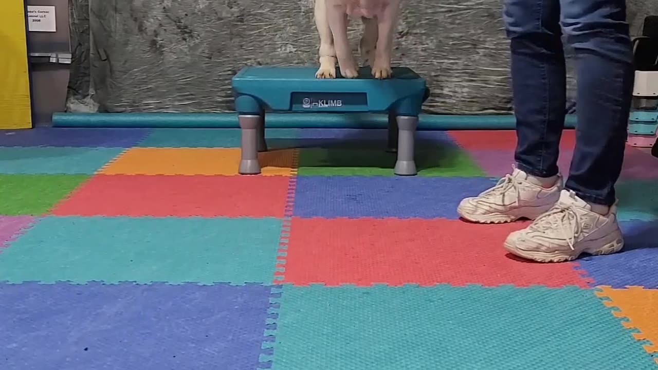 Tindrah's April 2023 JUMP AROUND challenge