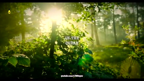 Allah will opens up your doors Waay Beyond your Imagination