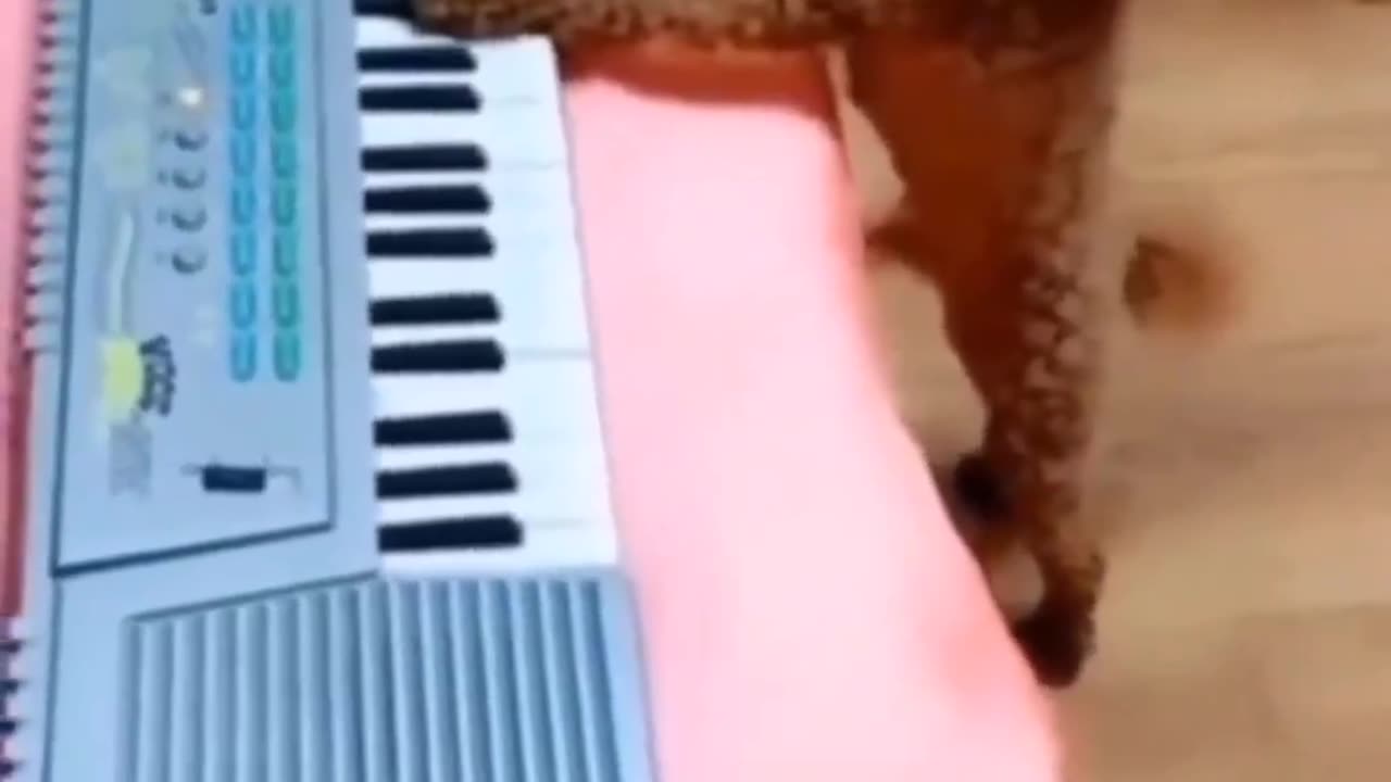 🎵 Singing Dog