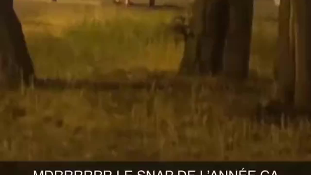 French Men Resort To Defending Their Communities With Swords Because Guns Are Not Legal There🤣😆😂