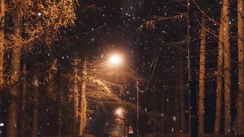 Snow falls