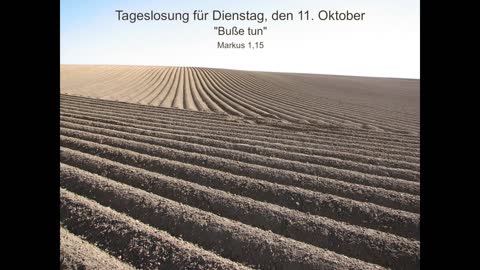 Tageslosung für Dienstag, den 11. Oktober