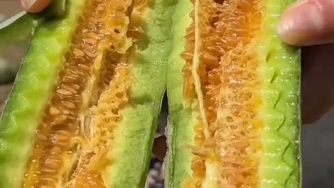 Fresh Vegetables Grow Organicly