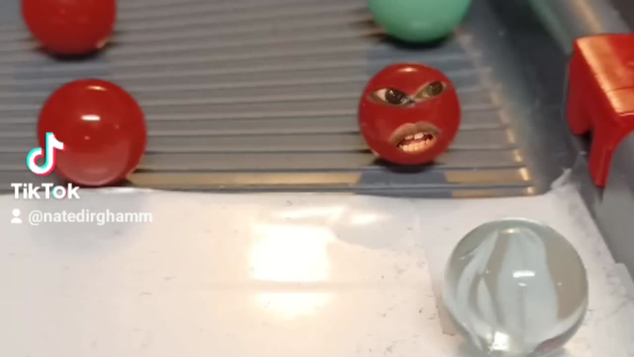 The Big Dogs vs The Red Hawks