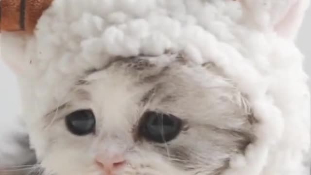 I was scheduled by myself.😾