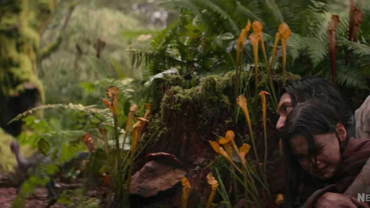#DINOSAURS