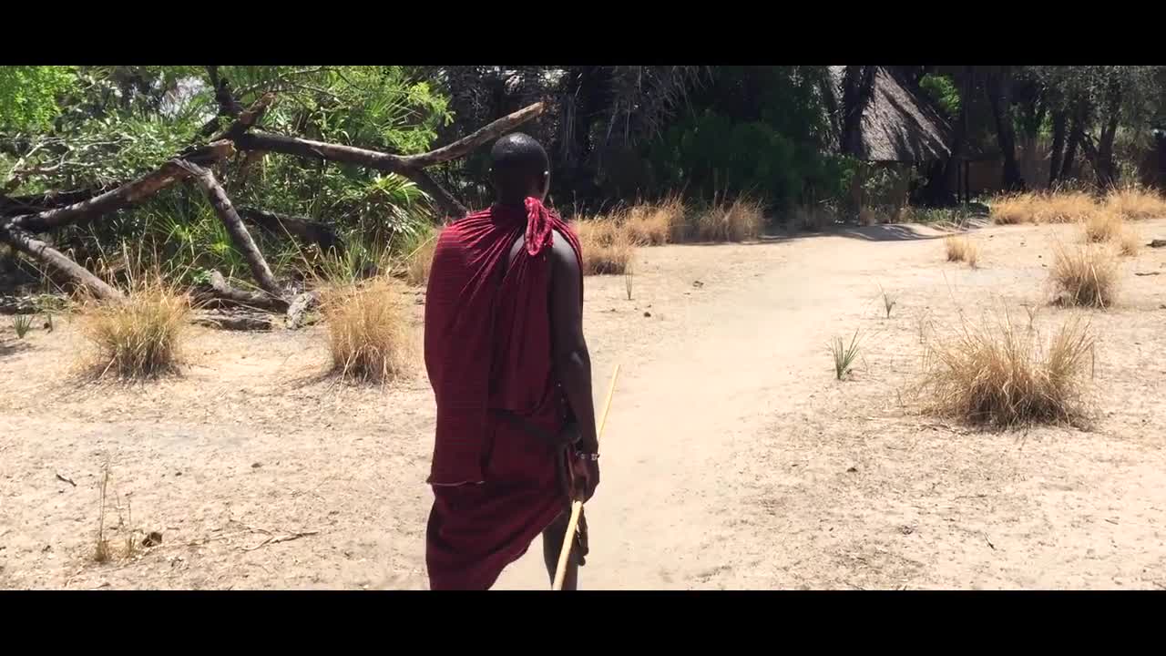 Zanzibar Paradise Hakuna matata video preview