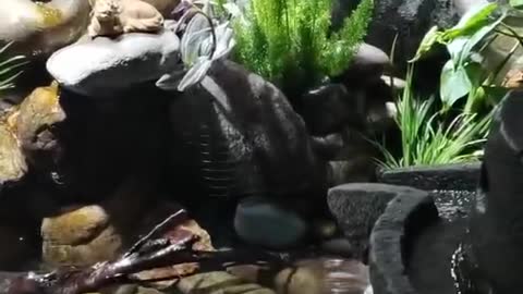 do-it-yourself pond