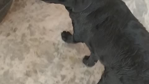 Kitni jaldi bhag kar aata hh