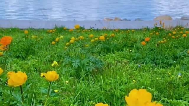 It's hard for someone not to fall in love with Sailimu Lake at first sight.