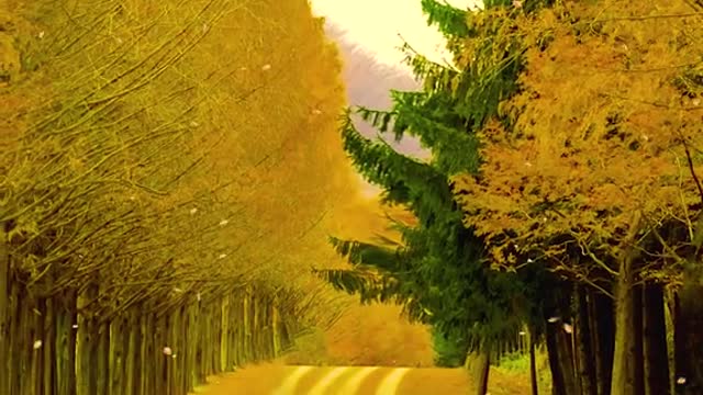When you are in a bad mood, come and see my works, hoping to bring you a moment of comfort!