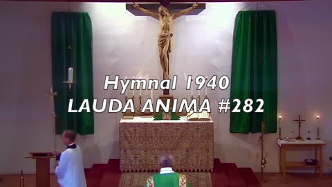 Lauda Anima #282