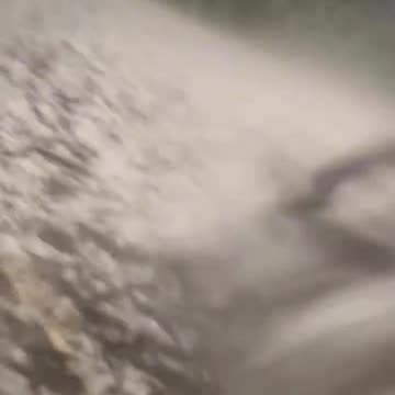 100 concertgoers injured at Colorado's legendary Red Rocks venue from hailstorm golf ball-sized hail