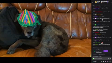 2023-01-01 (2bis.2) - Quelqu'un veut du roti ? - Twitch Triskelina (version avec chat)