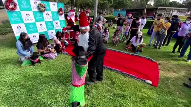 Dogs in Peru's capital spread the holiday cheer