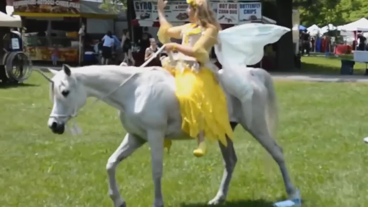 5 Unicorns Caught on Camera & Spotted In Real Life!