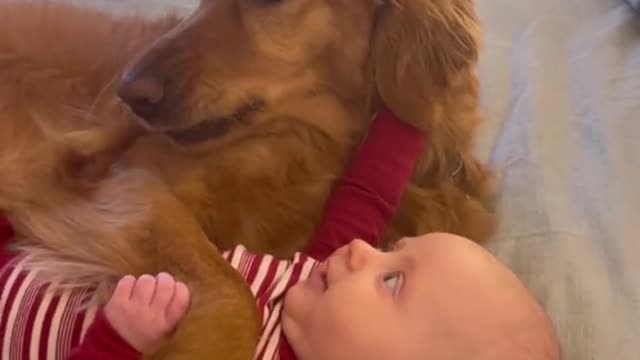 Dog Love With Cute BABY 🥰