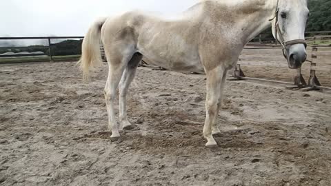 2021-8-22 turn out-1