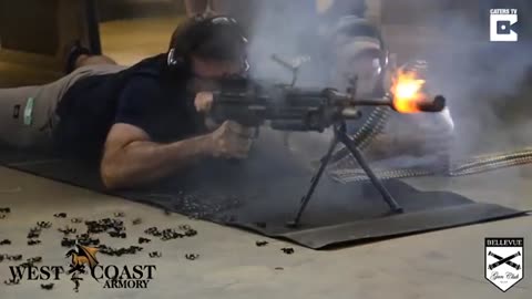 gun