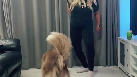 Handsome Dog dancing