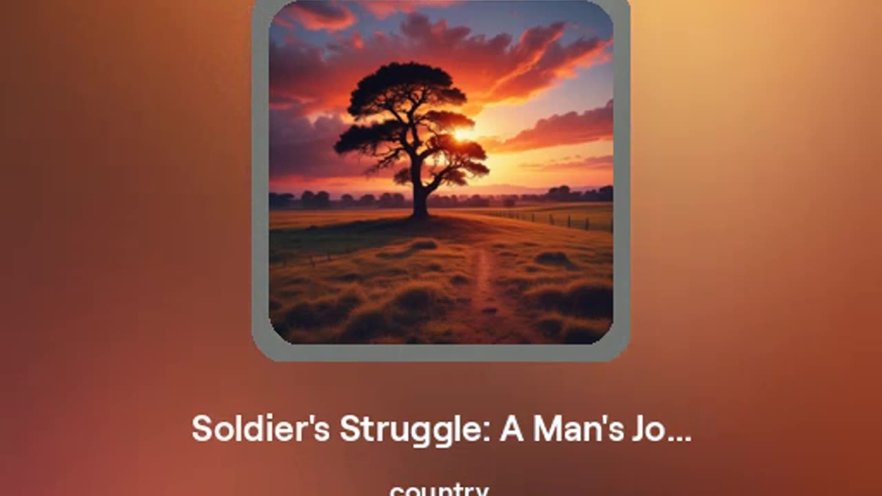 A Soldier's Struggle