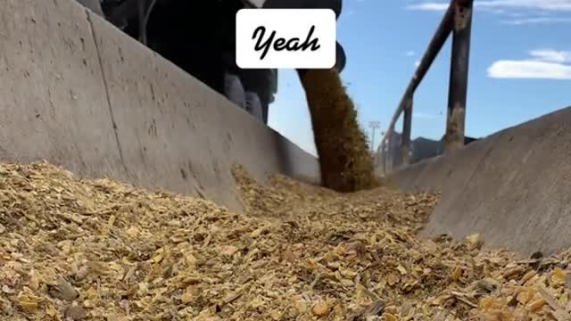 You could say we’re good at it.