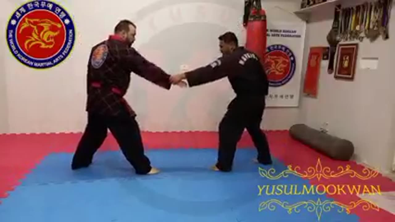 Hapkido