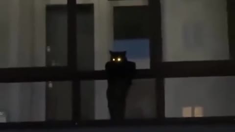 He is our nighttime houseguard