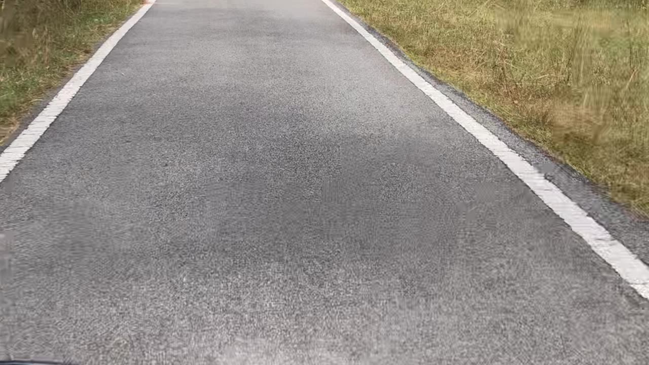 JUNGLE RIDE